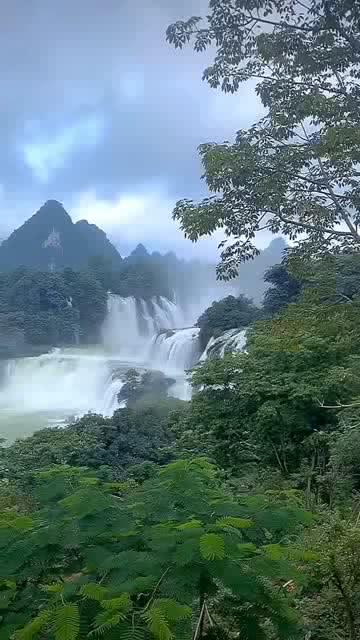 探寻天涯问答平台跟女朋友分手后我说我回老家了她说回老家干嘛我应该怎么回?